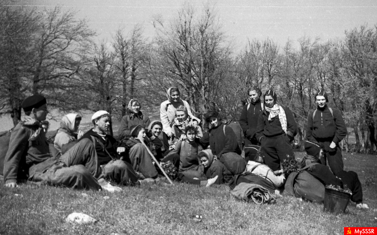  1960 